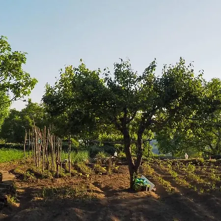 El Bosque De Los Romanos Lägenhet Puerto de Béjar