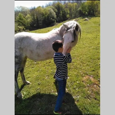 El Bosque De Los Romanos