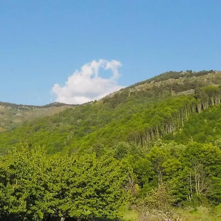Lägenhet El Bosque De Los Romanos *