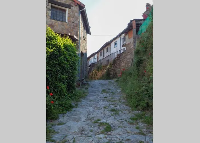 El Bosque De Los Romanos