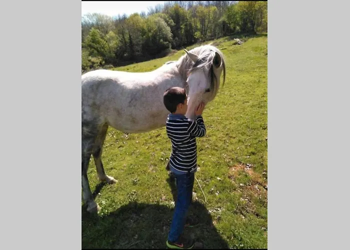 El Bosque De Los Romanos