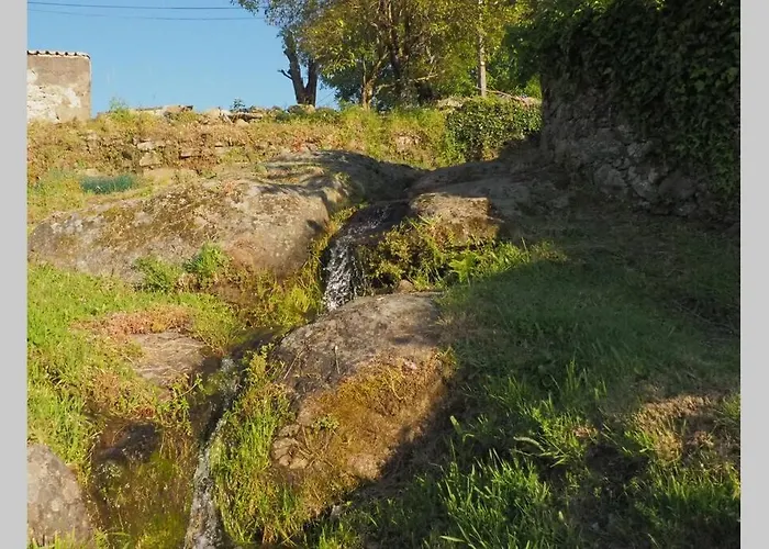 El Bosque De Los Romanos 푸에르토데베자르